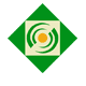 insurance 4