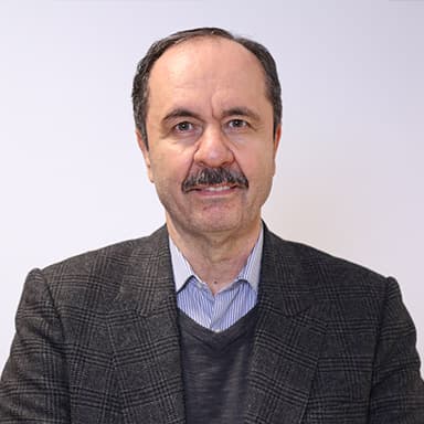 Доктор Али Бирджандинежад